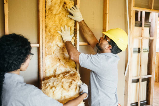 Best Spray Foam Insulation  in Newfoundland, NJ